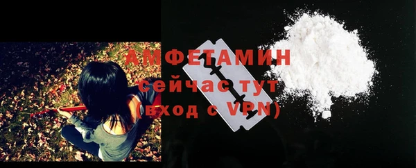 амф Алексин