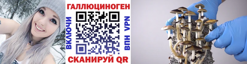 Галлюциногенные грибы Cubensis  Брянск 